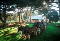 Take a horse and cart ride around the historic Churchill Island homestead.