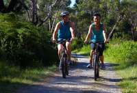 Cycle around Phillip Island on one of the many bike paths and trails.