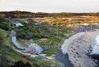The penguin parade has been setup for visitors to get the best view of thie natural wonder.