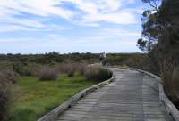 Plenty of walking on trails and boardwalks. View the beach or bush.