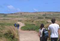 Walk along the beach or on trails that lead to brilliant beach views.